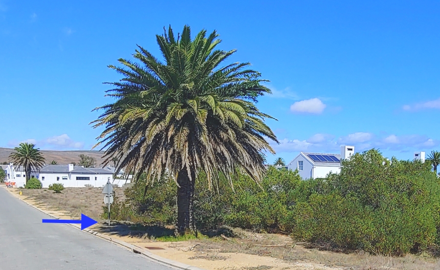 0 Bedroom Property for Sale in Shelley Point Western Cape